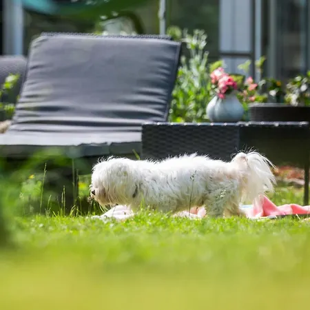 Forest Hill - -klimatyzacja *