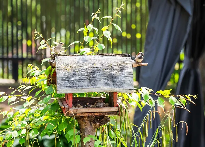 Forest Hill - -klimatyzacja Misdroy